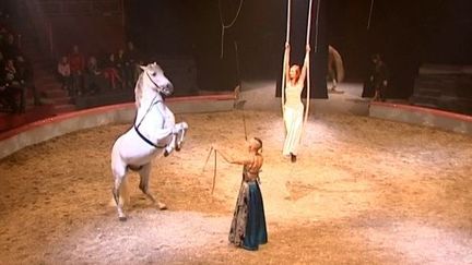 Spectacle &quot;Liamm&quot; par la Cie Le Cheval Rouge
 (France 3 / Culturebox)