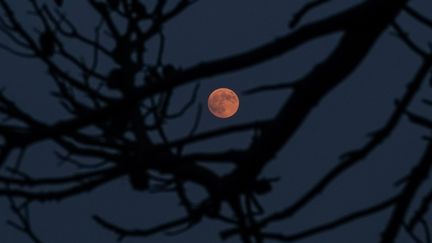 L'éclipse de Lune vue depuis le village grec de Mati, vendredi 27 juillet 2018. (MENELAOS MYRILLAS / MENELAOS MYRILLAS / SOOC / AFP)