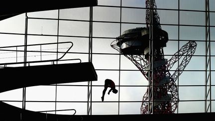 Le plongeur britannique Tom Daley s'entra&icirc;ne au&nbsp;London Aquatics Centre &agrave; Londres (Royaume-Uni), le 22 janvier 2014. (CLIVE ROSE / GETTY IMAGES)