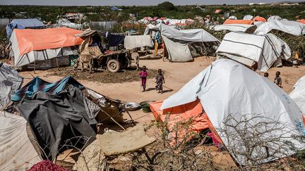 Mohamed Kalil précise à MSF&nbsp;: "Les inondations ont déplacé près de 270&nbsp;000 habitants de Beledweyne en très peu de temps. Ces personnes se sont réfugiées sur les hauteurs, à l’est et à l’ouest de la ville. La plupart vivent aujourd'hui dans des abris de fortune qui se limitent à quelques toiles accrochées à des arbres. Ils ne pourront pas rentrer chez eux avant longtemps."&nbsp; &nbsp;&nbsp; (LUIS TATO / AFP)