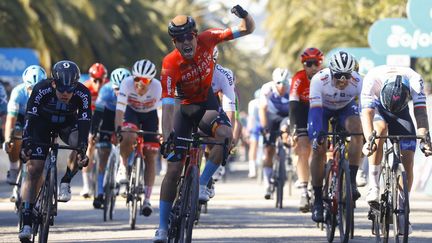 Phil Bauhaus a remporté la dernière étape de Tirreno-Adriatico, dimanche 13 mars 2022. (LUCA BETTINI / AFP)