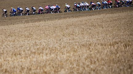 The Tour de France peloton during the second stage, July 2, 2023. (ANNE-CHRISTINE POUJOULAT / AFP)