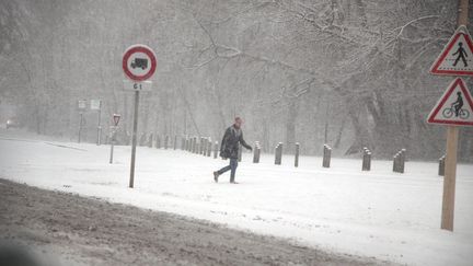 Chutes de neige à Thionville (Moselle), le dimanche 10 décembre 2017.&nbsp; (PIERRE HECKLER / MAXPPP)