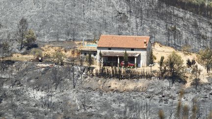 Une maison a &eacute;chapp&eacute; aux feux de for&ecirc;t qui ont ravag&eacute; Macastre pr&egrave;s de Valence (Espagne), le 3 juillet 2012. (HEINO KALIS / REUTERS)