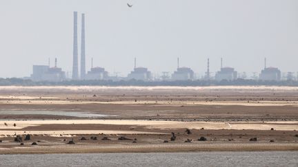 La centrale nucléaire de Zaporijjia, dans la ville ukrainienne d'Enerdogar, le 7 juillet 2023. Photo d'archives. (ANATOLII STEPANOV / AFP)