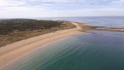 Charente-Maritime : Oléron, une terre sauvage au riche patrimoine (France 2)