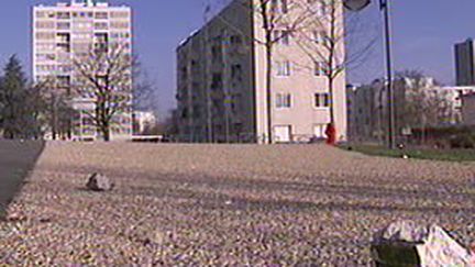 Une cité aux mureaux. (© France 2)