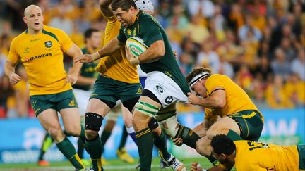 Willem Alberts (ici avec la balle) est forfait pour le premier match des Springboks face au Japon (PATRICK HAMILTON / AFP)