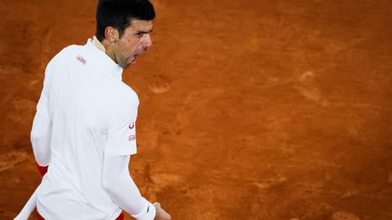 Novak Djokovic crie sa rage. (THOMAS SAMSON / AFP)