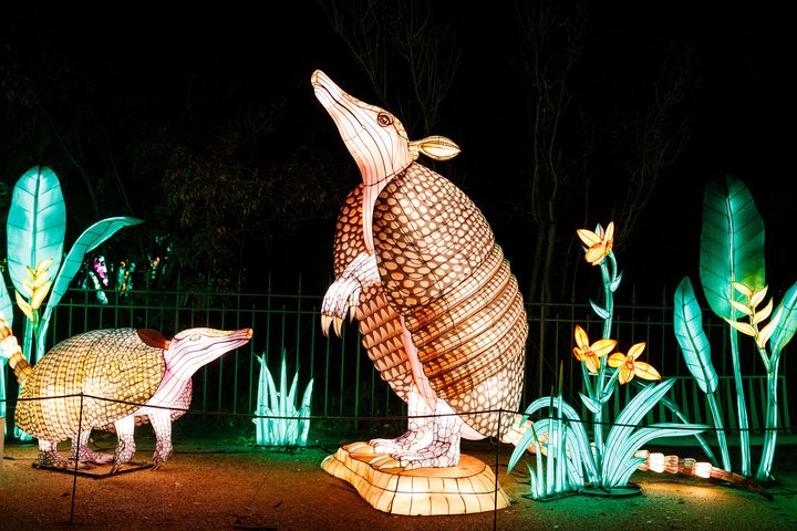 Cinquième édition du parcours "En voie d’illumination" organisé par le Muséum national d’Histoire naturelle de Paris au Jardin des Plantes, le 17 novembre 2023. (DIMITAR DILKOFF / AFP)