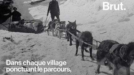 Des chiens de traîneaux lancés dans une course contre la montre à travers l'Alaska. C'était l'unique solution pour sauver ce village d'une grave épidémie. Voici l'histoire de la "course au sérum".