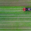 Un tracteur sur une exploitation en agriculture biologique, à Eickeloh, en Allemagne, le 1juin 2021.&nbsp; (PHILIPP SCHULZE / DPA / AFP)