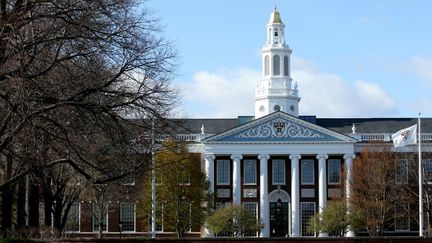 Le campus de l'université Harvard dans le&nbsp;Massachusetts (Etats-Unis), le 22 avril 2020. (MADDIE MEYER / GETTY IMAGES NORTH AMERICA / AFP)