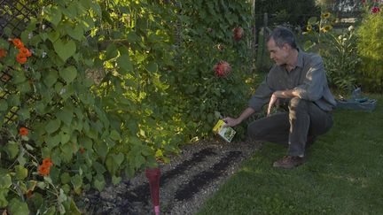 Illustration du jardinage sans pesticide - septembre 2007 (AFP)