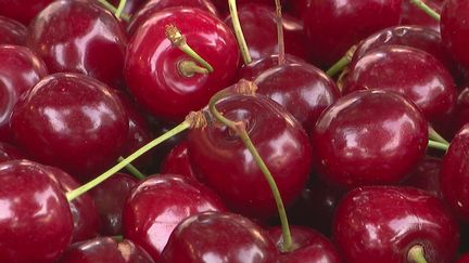 Météo : le gel du printemps a fait exploser les prix des fruits et légumes