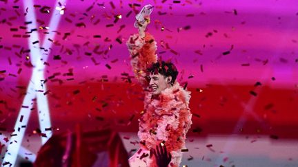 L'artiste suisse Nemo a remporté l'Eurovision 2024 avec la chanson "The Code", le 11 mai 2024, à Malmö, en Suède. (TOBIAS SCHWARZ / AFP)