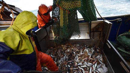 Brexit : les pêcheurs entre soulagement et inquiétude