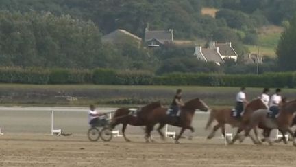 Finistère : une course de chevaux de trait sur la plage