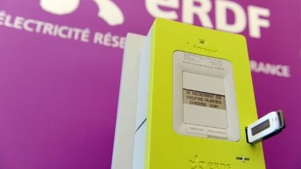 Le nouveau compteur électrique Linky (AFP / Alain Jocard)