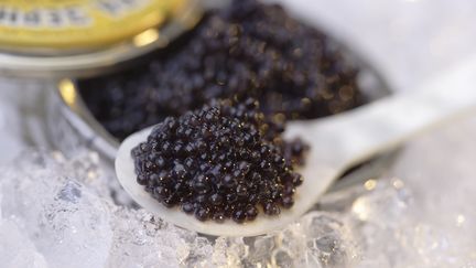 L'Aquitaine, première région productrice de caviar