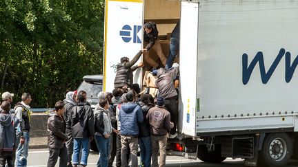 Des migrants profitent des protestations des marins fran&ccedil;ais qui bloquent les routes vers l'Eurotunnel pour monter &agrave; bord des camions arr&ecirc;t&eacute;s le 23 juin 2015 &agrave; Calais. (PHILIPPE HUGUEN / AFP)