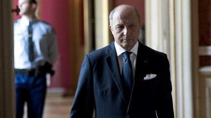 Le ministre des Affaires &eacute;trang&egrave;res Laurent Fabius, le 26 juillet 2014, &agrave; Paris.&nbsp; (NICOLAS MESSYASZ / SIPA)