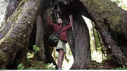 Le bioacousticien Gordon Hempton à la recherche de zones de silence au parc national Olympique, à l’ouest de Seattle, dans l’Etat de Washington (ELAINE THOMPSON/AP/SIPA / AP)