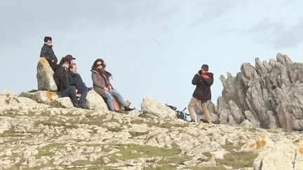 Finistère : les touristes sont de retour sur l'île de Ouessant