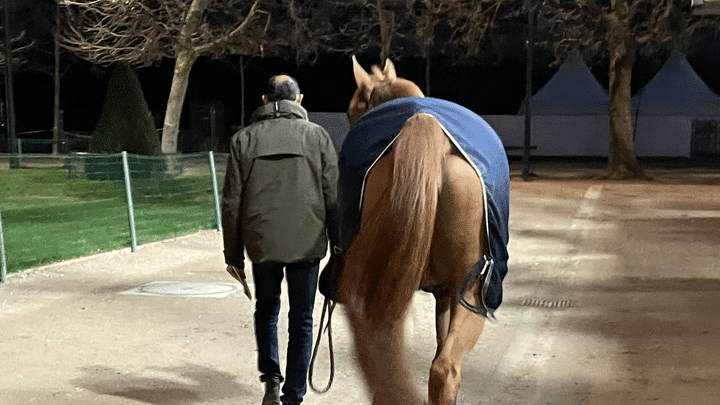 Claude Lebon, au Saut Hermès, le vendredi 15 mars. (franceinfo: sport)