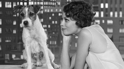 Le chien Uggy et Bérénice Bejo dans "The Artist" de Michel Hazanavicius
 (Kobal / The Picture Desk)