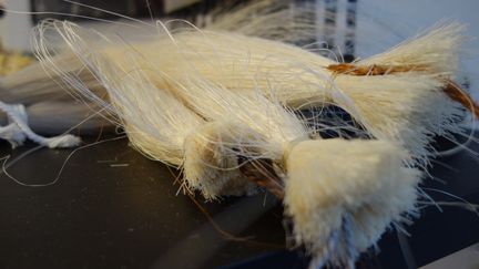 Le crin est un tissu façonné à partir d’une fibre animale. Cette fibre vivante est racée comme ces petits chevaux qui galopent à travers la plaine mandchoue en Mongolie. Alezan, blond ou noir, le panache de leur queue mesure 80 cm, juste ce qu’il faut pour faire une trame de 60 à 70 cm, solide comme une armure. La queue du cheval repousse au bout de 4 ans.
 (Corinne Jeammet)