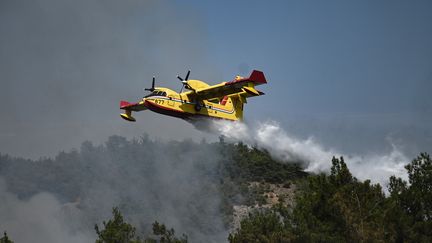 Un Canadair largue de l'eau sur les incendies de forêt dans la forêt de Dadia, dans le nord de la Grèce, le 24 août 2023. (SAKIS MITROLIDIS / AFP)