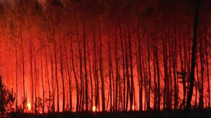 Lundi 18 juillet, les incendies sévissaient encore en Gironde, où plus de 15 000 hectares ont déjà été brûlés par les flammes en moins d'une semaine. (FRANCEINFO)