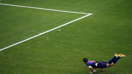 Le N&eacute;erlandais&nbsp;Robin van Persie lors du match opposant les Pays-Bas &agrave; l'Espagne &agrave; Salvador, le 13 juin 2014. (FABRIZIO BENSCH / REUTERS)