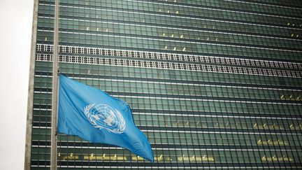 La délégation française de l'ONU a réalisé un "Mannequin challenge" qui a heurté de nombreux internautes. (LUCAS JACKSON / REUTERS / X90066)