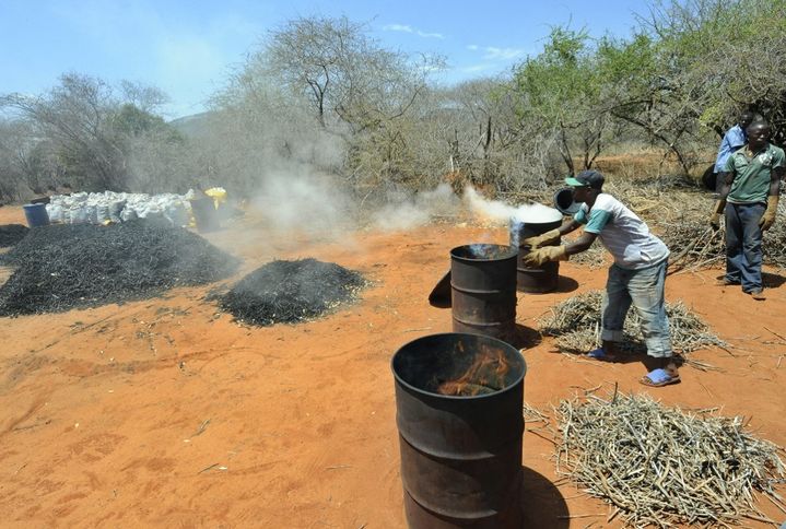 Fabrication de charbon de bois à partir de branchages récoltés dans la forêt de Maungu, un village à 300 km de Nairobi, la capitale du Kenya. (TONY KARUMBA / AFP)