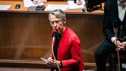 La Première ministre Elisabeth Borne à l'Assemblée nationale, à Paris, le 29 novembre 2022. (XOSE BOUZAS / HANS LUCAS / AFP)