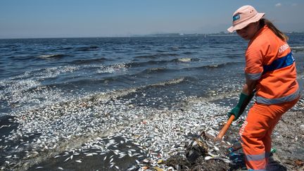 &nbsp; (CHRISTOPHE SIMON / AFP)