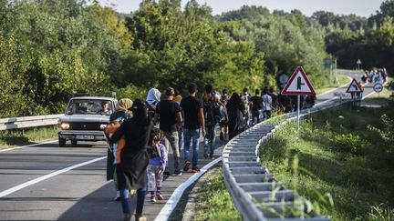 Des migrants sur la route menant &agrave; la fronti&egrave;re entre la Serbie et la Croatie &agrave; Bezdan (Serbie).&nbsp; (ARMEND NIMANI / AFP)