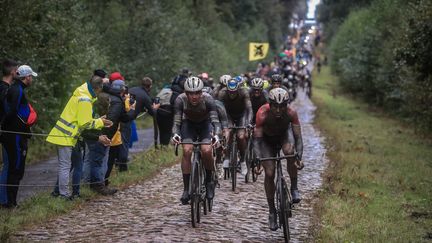 Le peloton dans le secteur pavé de la tranchée&nbsp;d'Arenberg,&nbsp; lors de la course cycliste Paris-Roubaix, le 3 octobre 2021.
 (CHRISTOPHE PETIT TESSON / EPA)