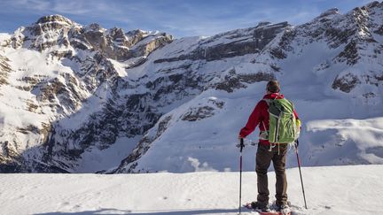 Un skieur dans le Parc national des Pyrénées, le 25 février 2017.&nbsp; (BARRERE JEAN-MARC / HEMIS.FR / HEMIS.FR / AFP)