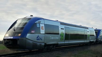 Les lignes Nantes-Lyon et Nantes-Bordeaux ont été choisies parce qu'elles viennent de bénéficier d'un renouvellement complet de leurs trains et que les travaux prévus sur les parcours devraient être achevés dans trois ans. (EMMANUEL MOREAU / FRANCE-BLEU PAYS D’AUVERGNE)