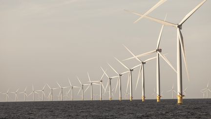 Le parc éolien offshore Anholt au large des côtes danoises (MAXPPP)