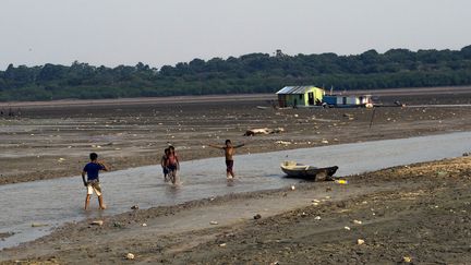 Des enfants jouent dans l'eau à Manaus (Brésil), région touchée par la sécheresse, le 23 octobre 2015. (RAPHAEL ALVES / AFP)