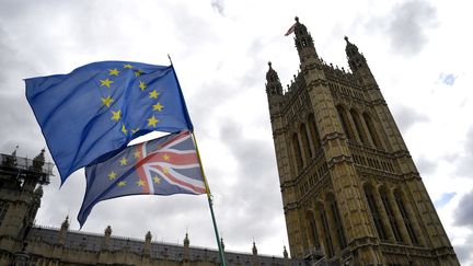 Des drapeaux devant le Parlement britannique à Londres (Royaume-Uni), pendant une manifestation anti-Brexit le 3 septembre 2019 (NEIL HALL / EPA)