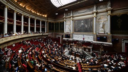 L'Assemblée nationale, lors des questions au gouvernement, à Paris, le 20 juin 2018.&nbsp; (PHILIPPE LOPEZ / AFP)