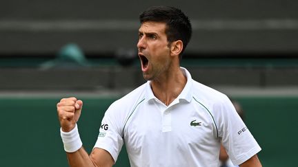 Novak Djokovic s'est qualifié en finale de Wimbledon en dominant&nbsp;Denis Shapovalov en trois sets, vendredi 9 juillet. (GLYN KIRK / AFP)