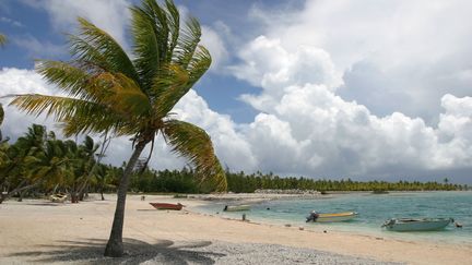 La plage de Vahitahi, sur l'archipel des Tuamotu (Polyn&eacute;sie fran&ccedil;aise), le 4 juin 2010. (MAXPPP)