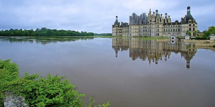 &nbsp; (LUDOVIC LETOT / AFP DOMAINE NATIONAL DE CHAMBORD / AFP)