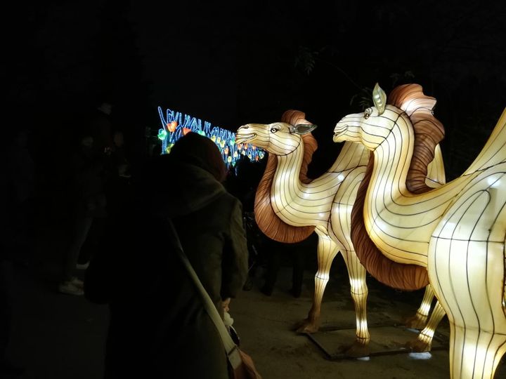 Plus De 200 000 Visiteurs Accueillis Pour Le Premier Festival Des Lumieres Au Jardin Des Plantes A Paris